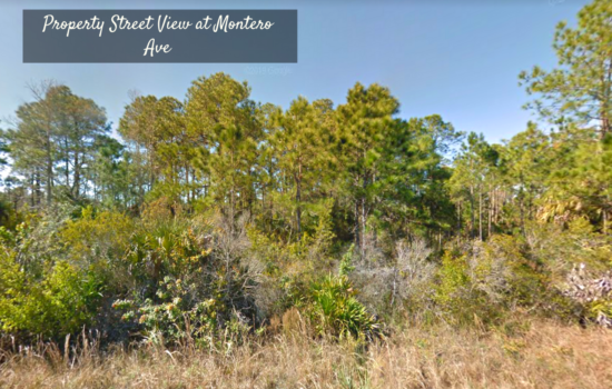 Peaceful Neighborhood! .24 Acres in Lehigh Acres