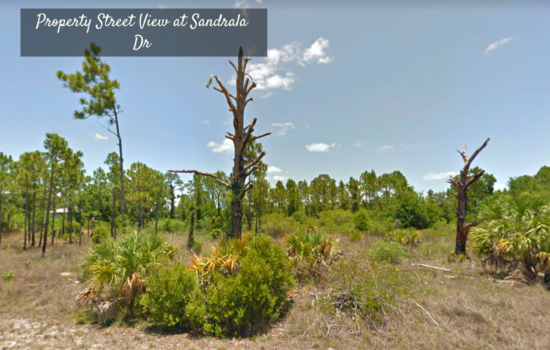 A Real Gem Near Port Charlotte & Beaches!