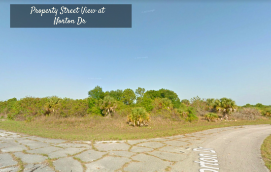 0.23-Acre of Raw Land in North Port – Enjoy Nature that Florida has to Offer!