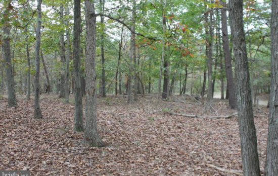 Wooded Buildable Lot With Utilities!